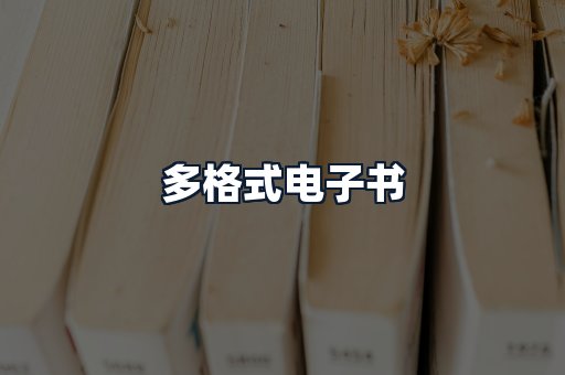 多格式电子书